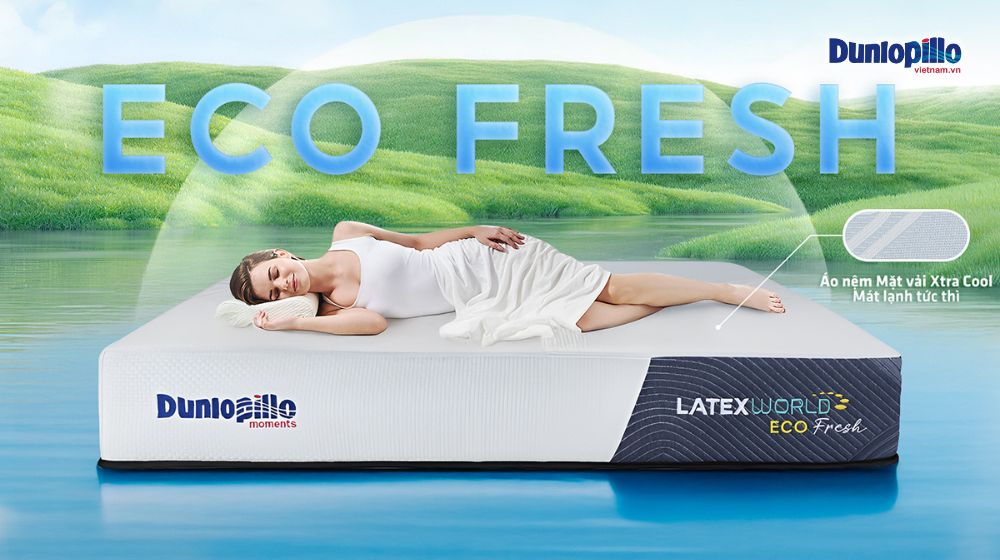 Nên mua nệm mát mùa hè ở đâu uy tín nhất? 2 Nệm Dunlopillo Latex World Eco Fresh thoáng khí cho mùa hè