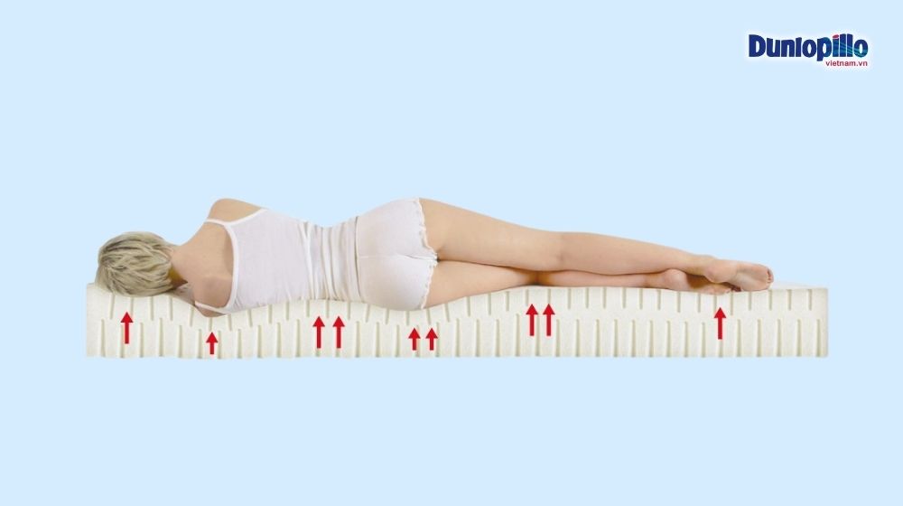 Nệm cao su thiên nhiên và cao su tổng hợp: nên chọn loại nào tốt hơn? 4 Nệm cao su thiên nhiên nâng đỡ cơ thể hoàn hảo