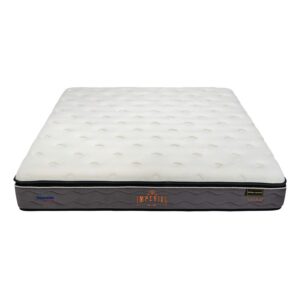 nem lo xo tui dunlopillo imperial 1