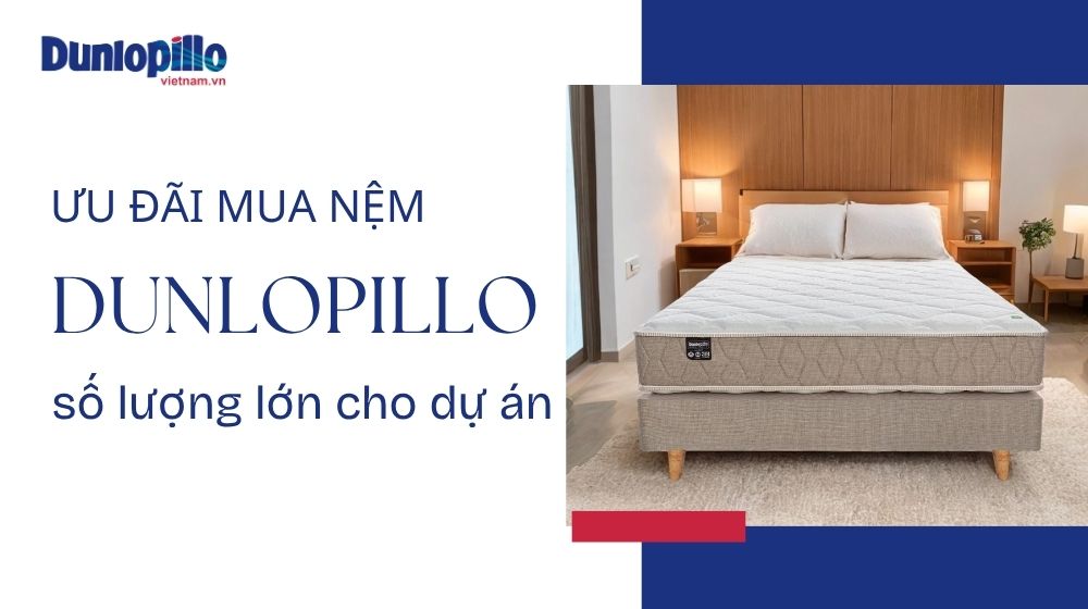Ưu đãi mua nệm Dunlopillo số lượng lớn cho dự án 7 Ưu đãi mua nệm Dunlopillo số lượng lớn cho dự án