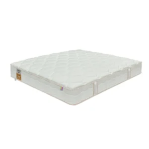 nem lo xo khang chay dunlopillo dream plus 2