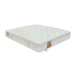 nem lo xo khang chay dunlopillo dream plus 4