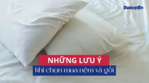 Những lưu ý khi chọn mua nệm và gối 9 Những lưu ý khi chọn mua nệm và gối