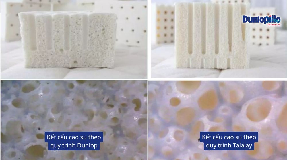 Cấu trúc cao su Dunlopilllo của 2 quy trình sản xuất
