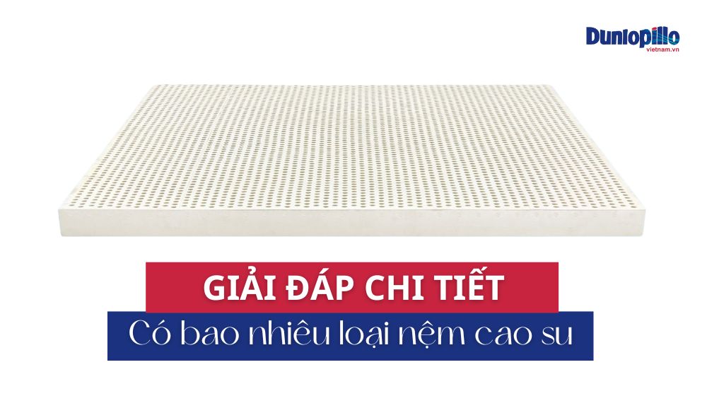 Có bao nhiêu loại nệm cao su? Giải đáp chi tiết 3 Có bao nhiêu loại nệm cao su