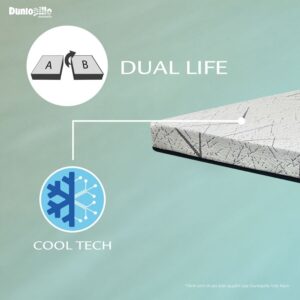 nem cao su nhap khau dunlopillo herit 3