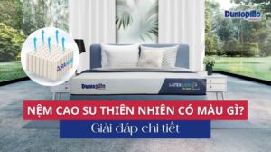 Nệm cao su thiên nhiên có màu gì
