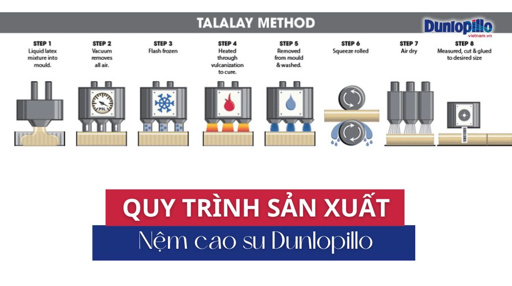 Tìm hiểu quy trình sản xuất nệm cao su Dunlopillo 35 Quy trình sản xuất nệm cao su Dunlopillo