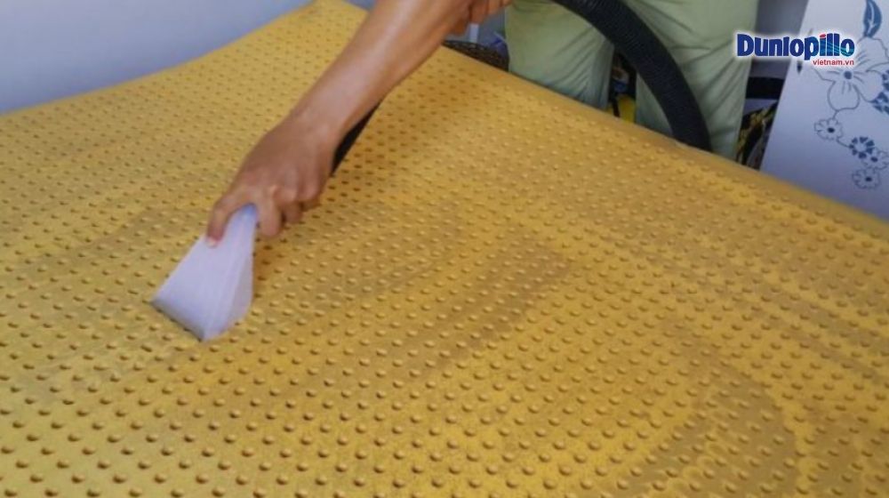 Vệ sinh nệm cao su đúng cách để nệm luôn bền màu