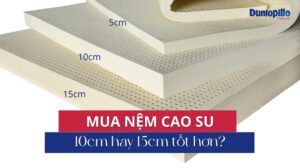 Mua nệm cao su 10cm hay 15cm
