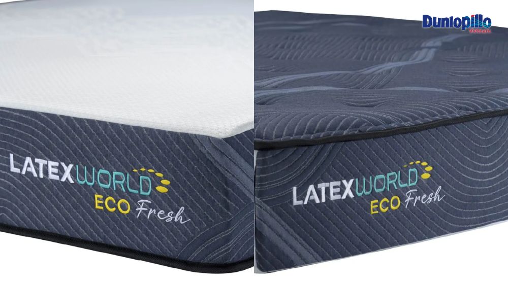 Sử dụng linh hoạt theo mùa với 2 mặt áo nệm độc đáo