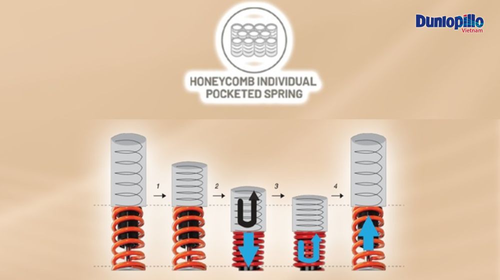 Hệ thống lò xo nâng đỡ cơ thể hoàn hảo