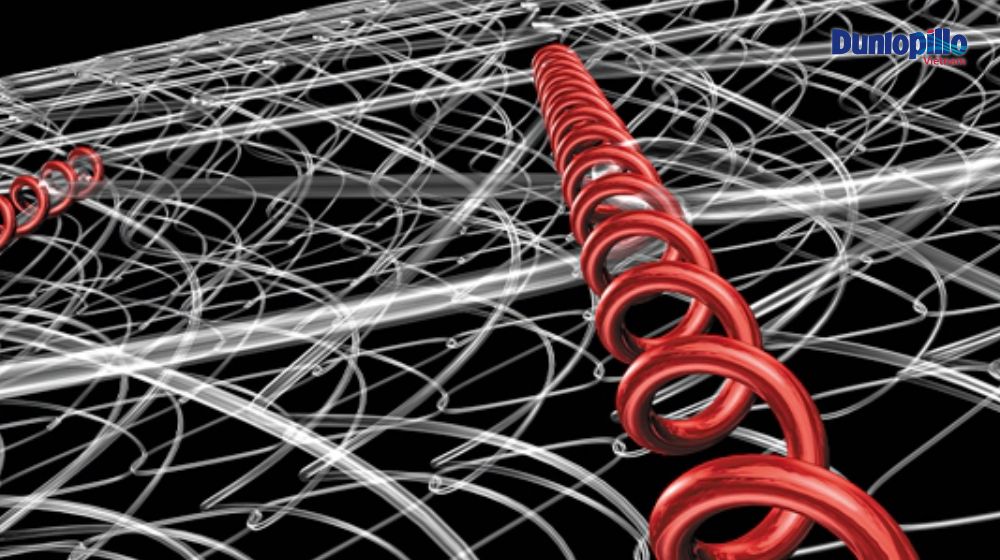 Normablock - hệ thống lò xo 1 sợi đặc biệt, nâng đỡ vững chắc