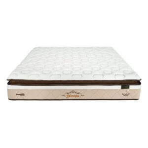 nem lo xo tui dunlopillo harrington 1