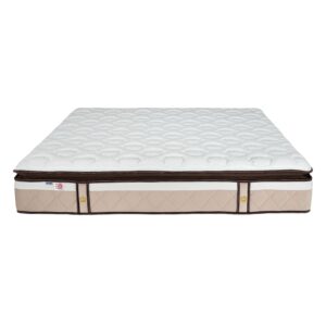 nem lo xo tui dunlopillo harrington 2