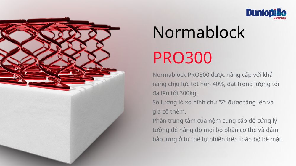 Hệ thống lò xo Normablock phiên bản nâng cấp PRO300