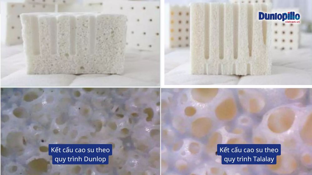 Công nghệ sản xuất tạo ra cấu trúc cao su khác nhau