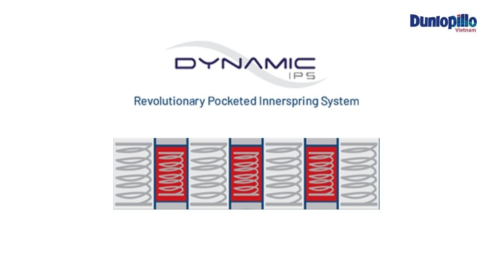 Dynamic IPS System – Cuộc cách mạng về độ cao lò xo