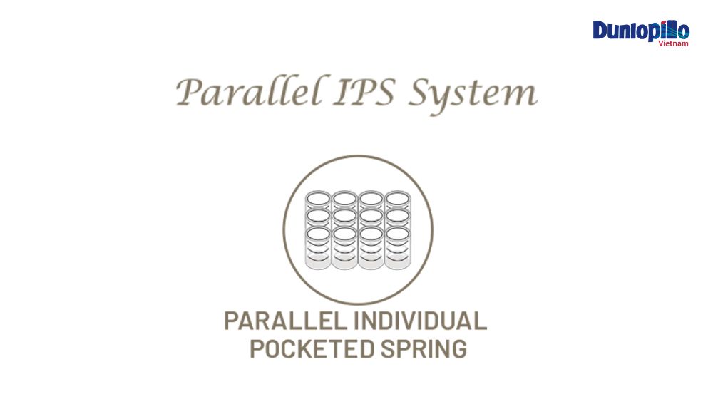 Hệ thống lò xo túi song song (Parallel IPS System)