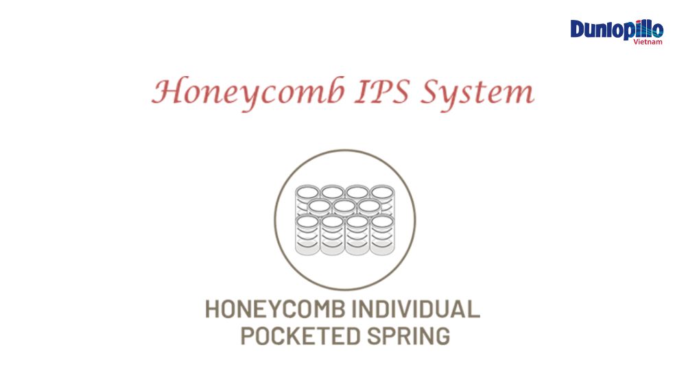 Hệ thống lò xo túi tổ ong (Honeycomb IPS System)