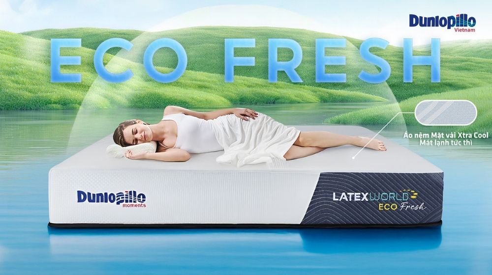 Nệm cao su Eco Fresh có giá thành khá cao