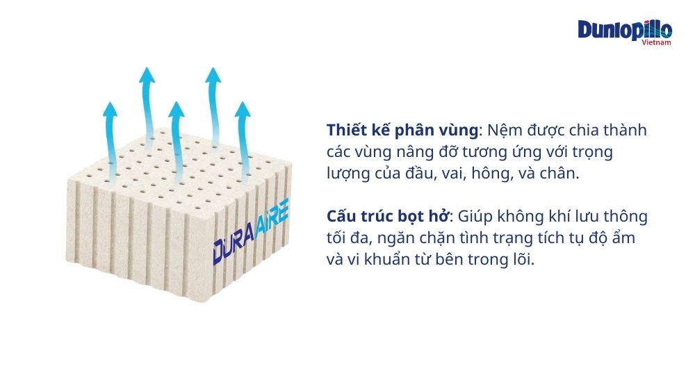 Ruột nệm là cao su nhập khẩu Dura Aire nguyên khối