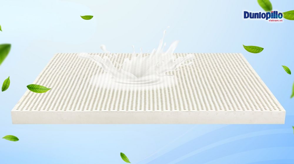 Nệm cao su thiên nhiên sử dụng nguyên liệu từ tự nhiên