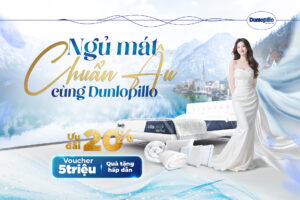 pst banner fb 1920x1280 1