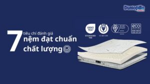 Tiêu chí đánh giá nệm đạt chuẩn chất lượng