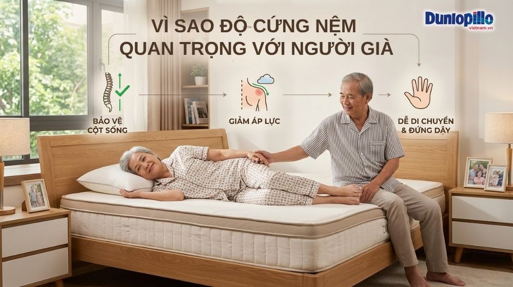 Lý do độ cứng nệm quan trọng với người cao tuổi