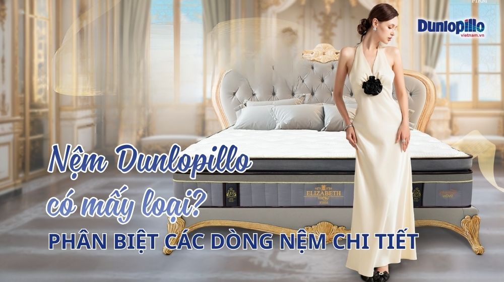 Nệm Dunlopillo có mấy loại