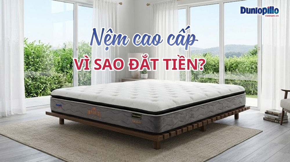Vì sao nệm cao cấp đắt tiền