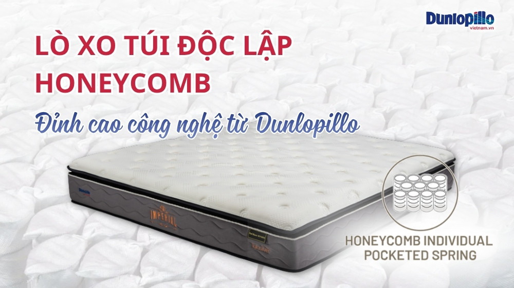 Lò xo túi độc lập Honeycomb