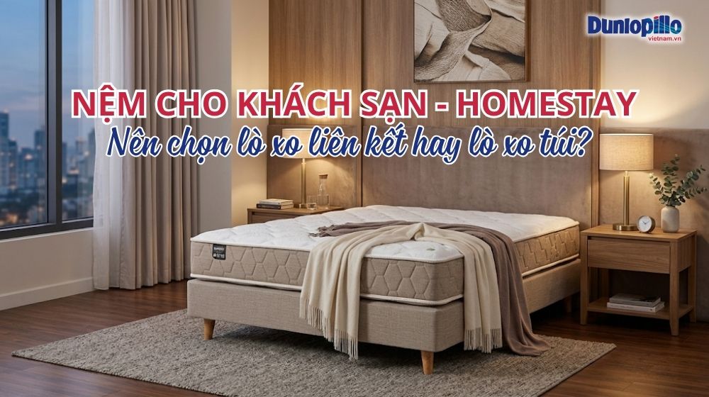 Chọn nệm lò xo túi hay nệm lò xo liên kết cho khách sạn, homestay