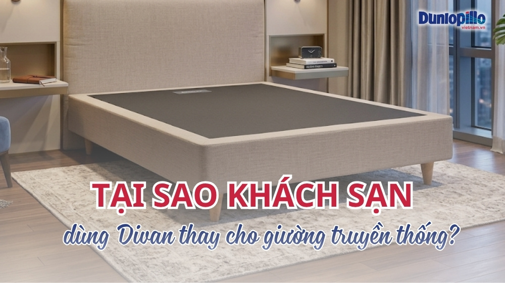 Tại sao khách sạn thường dùng divan