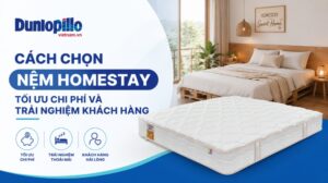 Cách chọn nệm homestay tối ưu chi phí