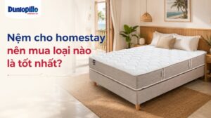 Nệm cho homestay nên mua loại nào là tốt nhất
