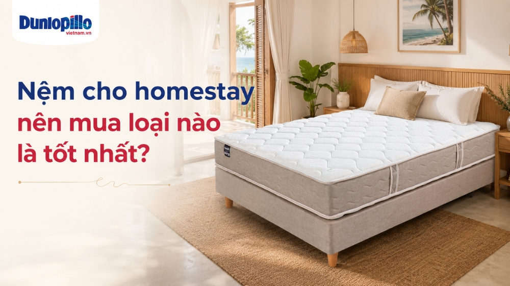 Nệm cho homestay nên mua loại nào là tốt nhất