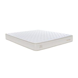 nem lo xo dunlopillo coolsilk zen air 3