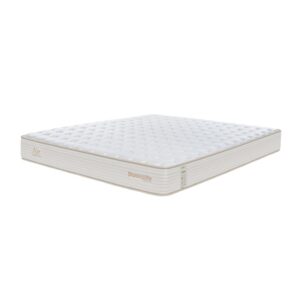 nem lo xo dunlopillo coolsilk zen air 5