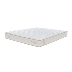 nem lo xo dunlopillo coolsilk zen air 6