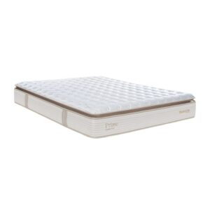 nem lo xo dunlopillo coolsilk zen prime 5