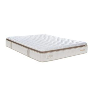 nem lo xo dunlopillo coolsilk zen prime 8