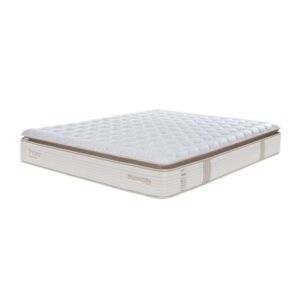 nem lo xo dunlopillo coolsilk zen prime 9