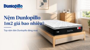 Nệm Dunlopillo 1m2