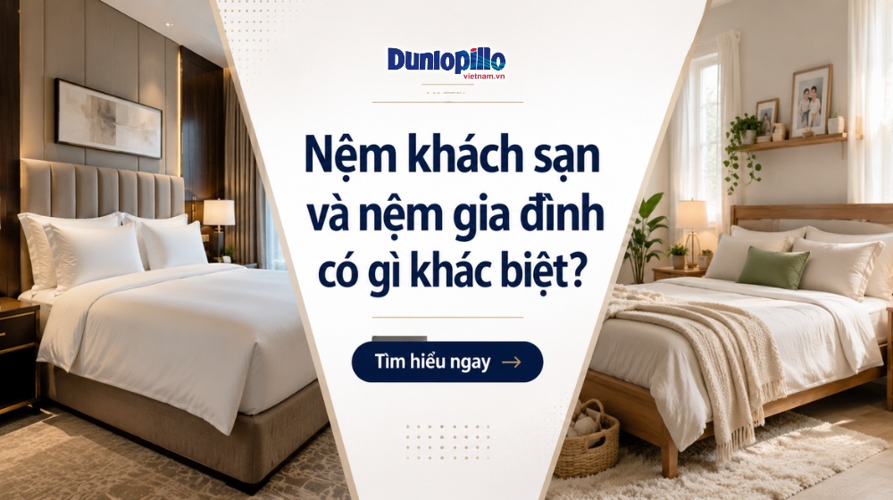 Nệm khách sạn và nệm gia đình có gì khác biệt