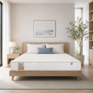 Nệm lò xo kháng cháy Dunlopillo Dream Plush