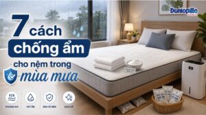 7 cách chống ẩm cho nệm trong mùa mưa