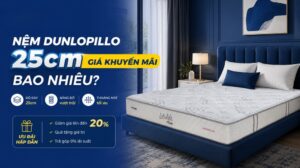 Nệm Dunlopillo 25cm giá khuyến mãi bao nhiêu